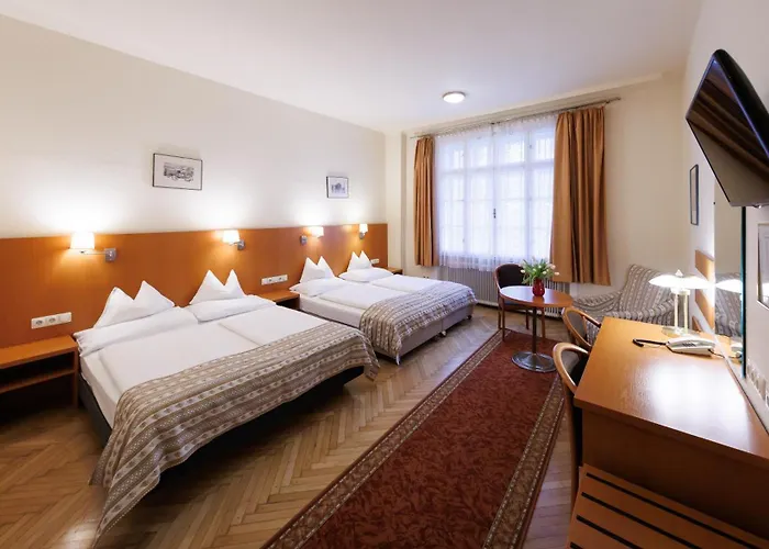 Continental Hotel-Pension Viena